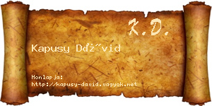 Kapusy Dávid névjegykártya